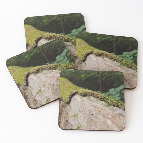 Item preview, Fallen Log in Deep in Bodmin Forest designed and sold by MikeWalksUK.