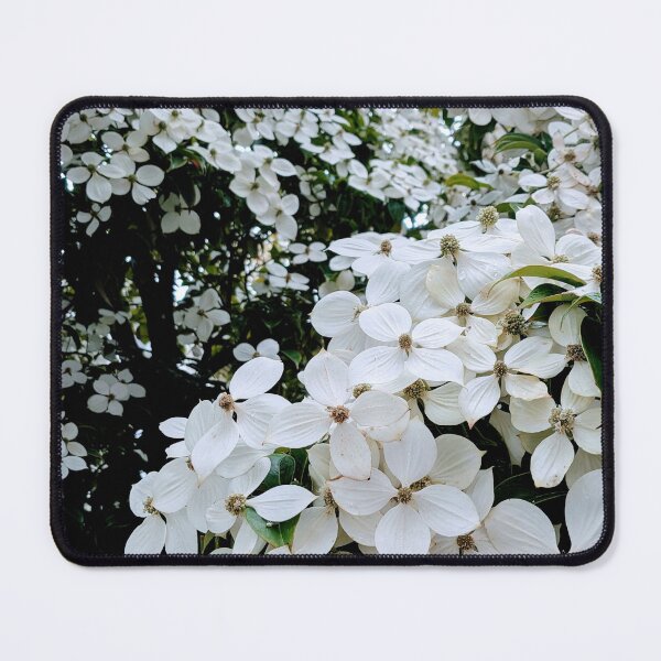 Item preview, White Flower designed and sold by Tokimaru63.