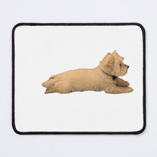 Item preview, Sploot designed and sold by Lily-and-Winnie.