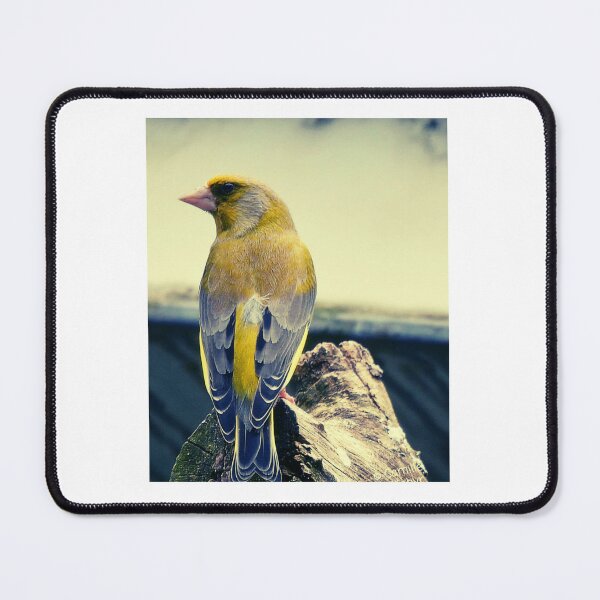 Item preview, Golden Finch on Weathered Wood designed and sold by Gerberjayey.