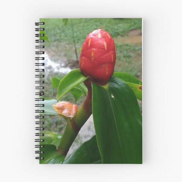 Item preview, Amazonian Flowerbud designed and sold by Hazel Meades.