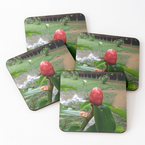 Item preview, Amazonian Flowerbud designed and sold by Hazel Meades.