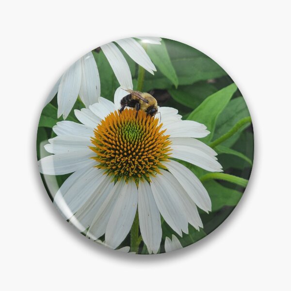 Item preview, Bumblebee on Cone Flower designed and sold by Kmrphotostn.