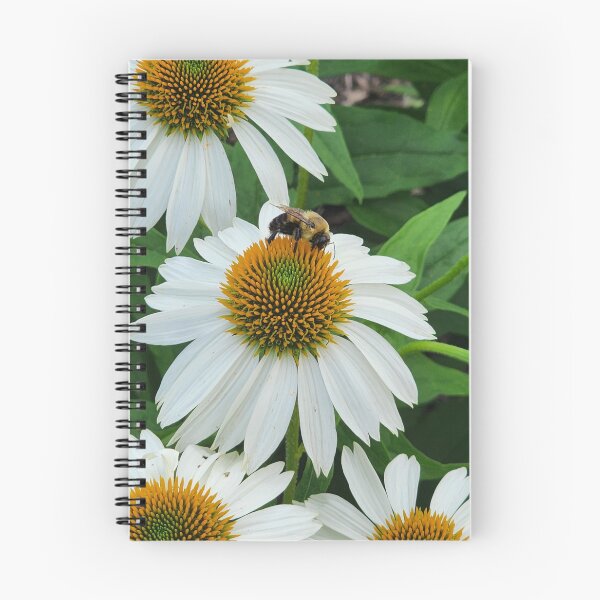 Item preview, Bumblebee on Cone Flower designed and sold by Kmrphotostn.