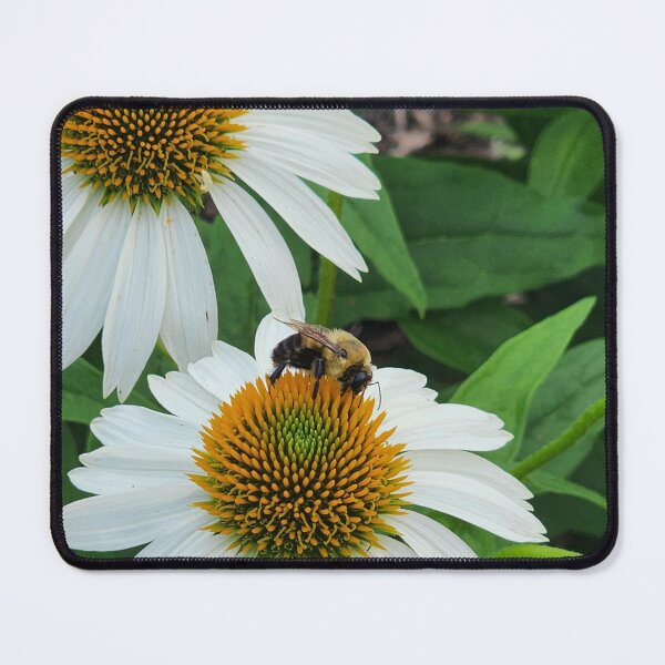 Item preview, Bumblebee on Cone Flower designed and sold by Kmrphotostn.