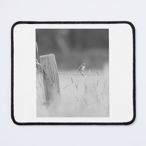 Item preview, Little Bird on Barbed Wire designed and sold by Gerberjayey.