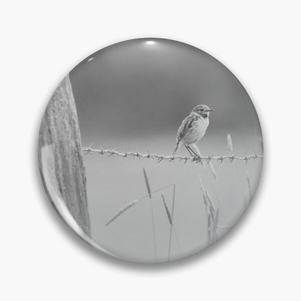 Item preview, Little Bird on Barbed Wire designed and sold by Gerberjayey.
