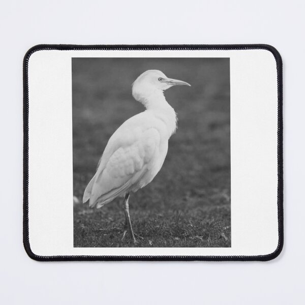 Item preview, White Egret in Monochrome designed and sold by Gerberjayey.