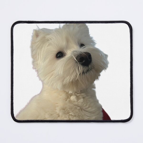 Item preview, Cute westie designed and sold by Lily-and-Winnie.