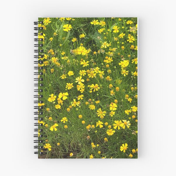 Item preview, Yellow flower field, no filter, real photograph designed and sold by GiSilver.