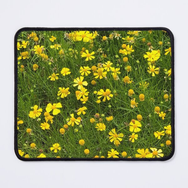 Item preview, Yellow flower field, no filter, real photograph designed and sold by GiSilver.