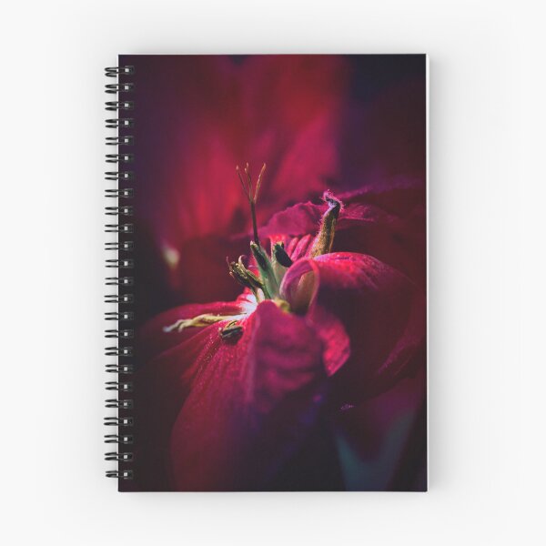 Item preview, Inside the Bud | Deep Red Floral Macro Wall Art designed and sold by WitchyBotanicaArt.