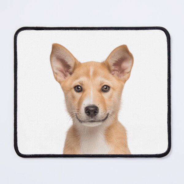 Item preview, Adorable Canaan pup for Cute Canaanite dog puppy lovers designed and sold by LazyOwlStore.