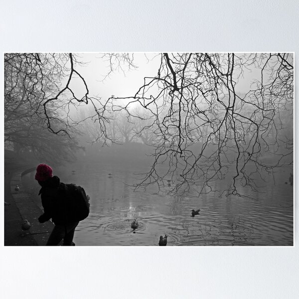 Item preview, Fog at St Stephen's Green designed and sold by Esther  Moliné.
