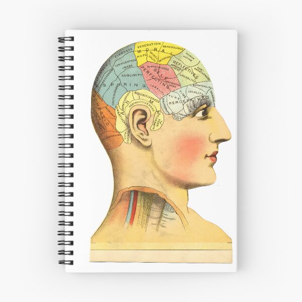 Item preview, 1914 Phrenology Brain Chart Print | Antique Medical Head Anatomy Wall Art | Vintage Phrenology Chart Poster designed and sold by codeslinger.