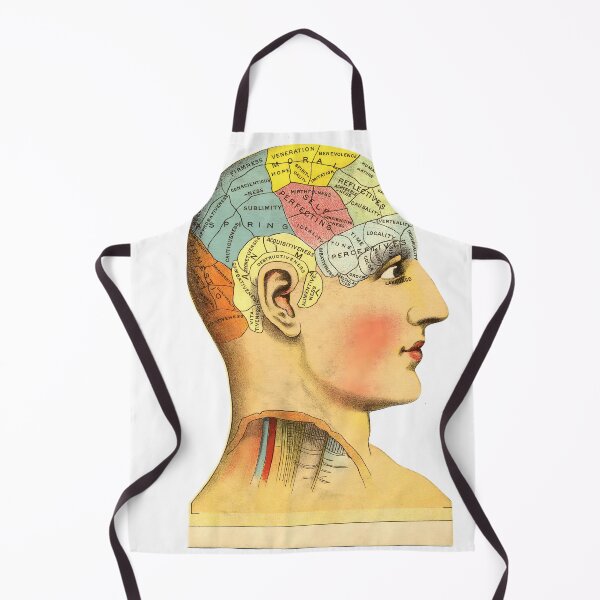 Item preview, 1914 Phrenology Brain Chart Print | Antique Medical Head Anatomy Wall Art | Vintage Phrenology Chart Poster designed and sold by codeslinger.