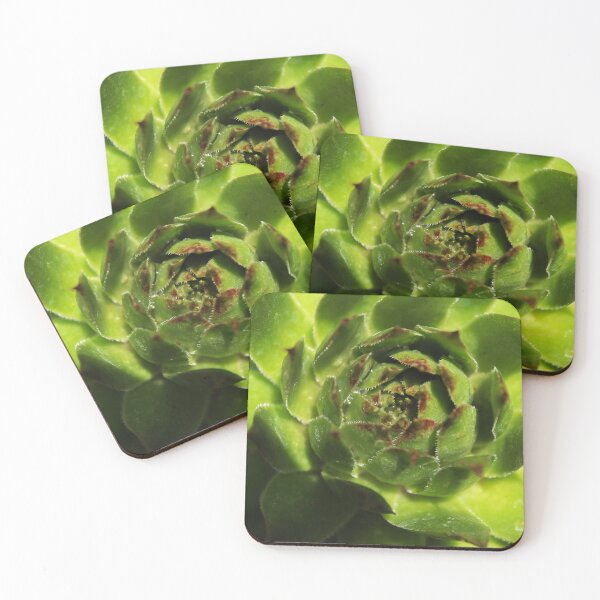 Item preview, Succulent  designed and sold by MFranksPhotos.