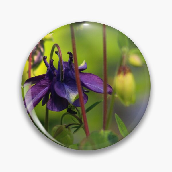 Item preview, Columbine Flower  designed and sold by MFranksPhotos.