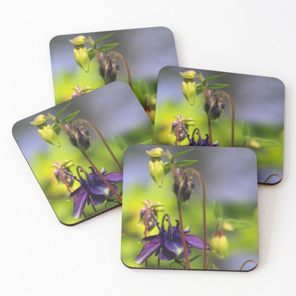 Item preview, Columbine Flower  designed and sold by MFranksPhotos.