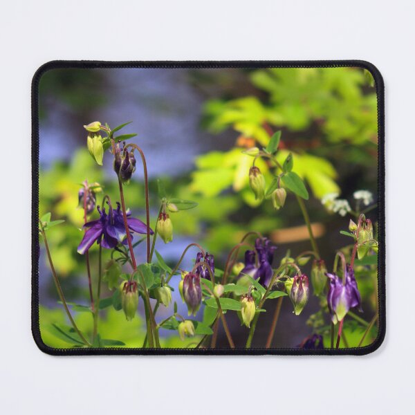 Item preview, Columbine Flower designed and sold by MFranksPhotos.
