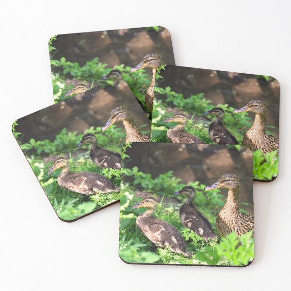 Item preview, Mallard Mom and Ducklings designed and sold by MFranksPhotos.