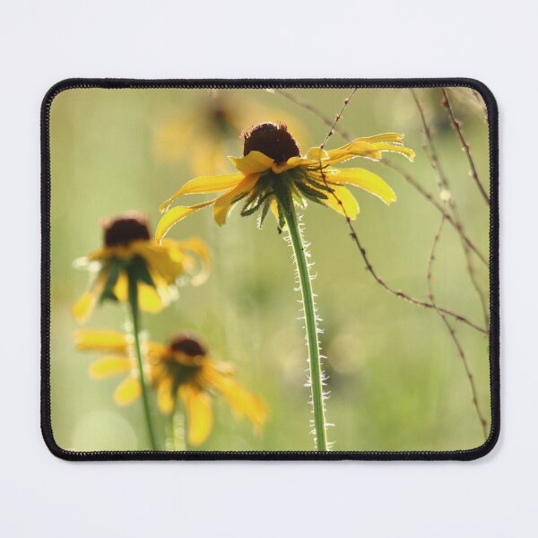 Item preview, Heal the World designed and sold by Olivia Plasencia.