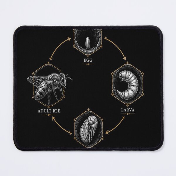Item preview, Bee Life Cycle Dark Academia Entomology Engraving designed and sold by SunnyDesign82.