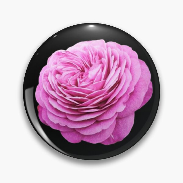 Item preview, Vivid Pink Rose Cutout designed and sold by CamilasPrints.