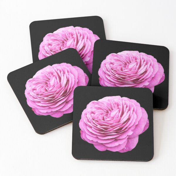 Item preview, Vivid Pink Rose Cutout designed and sold by CamilasPrints.
