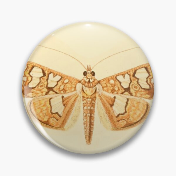 Item preview, Vintage Botanical Moth Illustration - Antique Natural History Print designed and sold by footnotes-club.