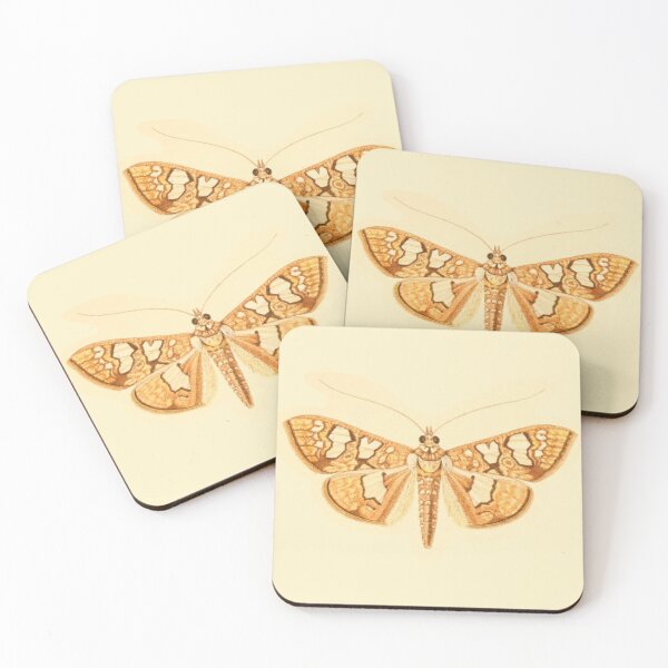 Item preview, Vintage Botanical Moth Illustration - Antique Natural History Print designed and sold by footnotes-club.
