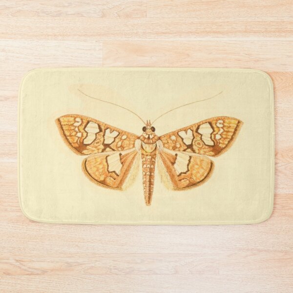 Item preview, Vintage Botanical Moth Illustration - Antique Natural History Print designed and sold by footnotes-club.