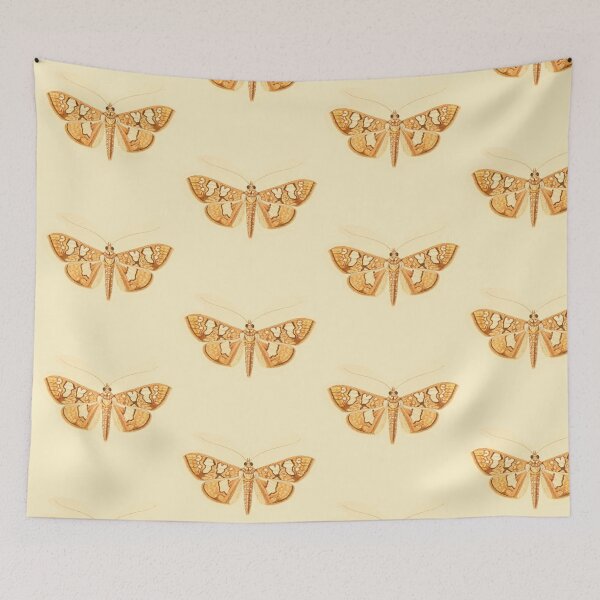 Item preview, Vintage Botanical Moth Illustration - Antique Natural History Print designed and sold by footnotes-club.