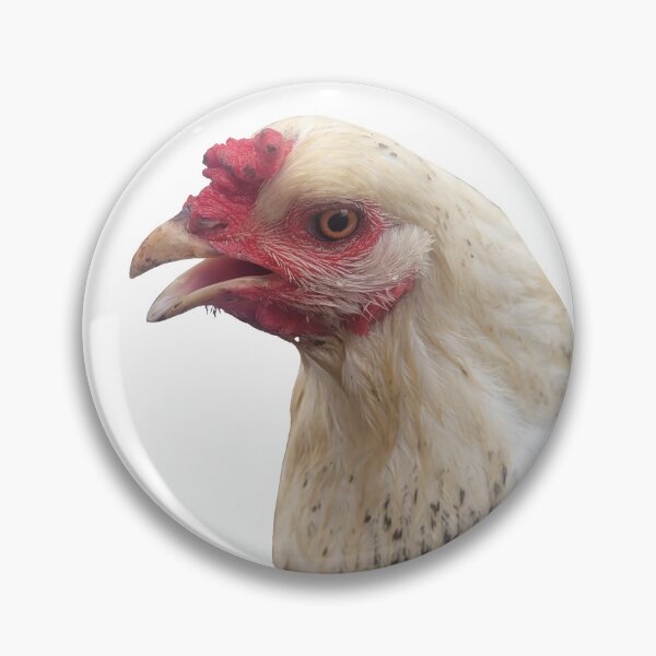 Item preview, Faith( our pet chicken) designed and sold by addierayzart25.
