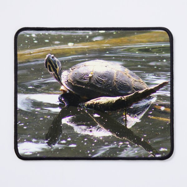 Item preview, Turtle designed and sold by MFranksPhotos.