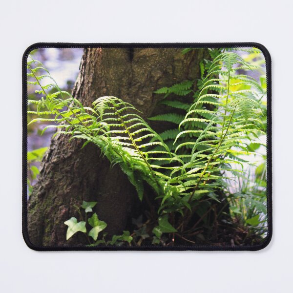 Item preview, Nature  designed and sold by MFranksPhotos.