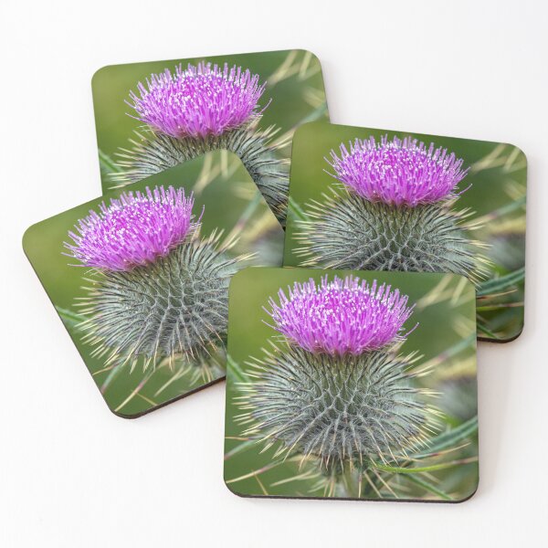 Item preview, Scottish Thistle Macro designed and sold by Tom McPherson Photography.