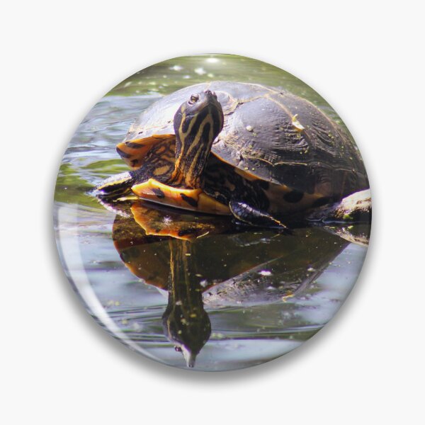Item preview, Turtle designed and sold by MFranksPhotos.