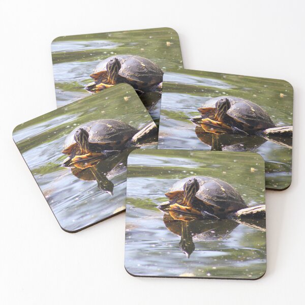 Item preview, Turtle designed and sold by MFranksPhotos.