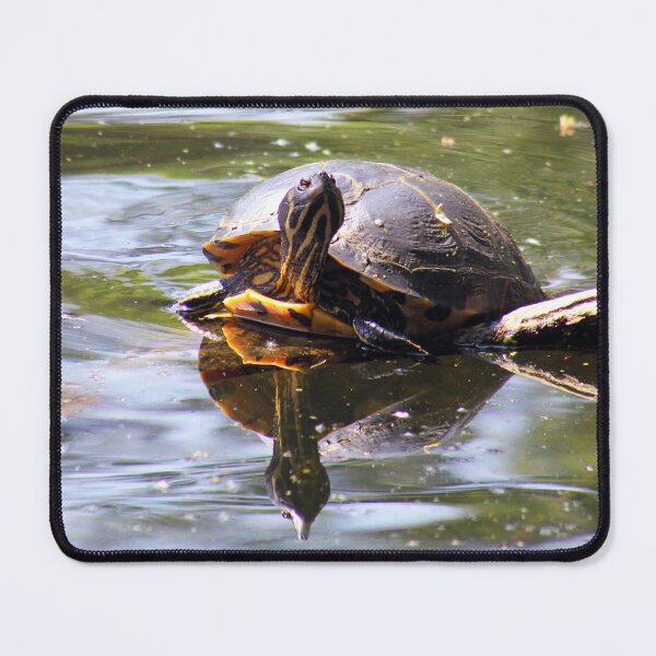 Item preview, Turtle designed and sold by MFranksPhotos.