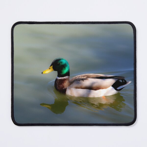 Item preview, Happiness in Nature designed and sold by heatherfriedman.
