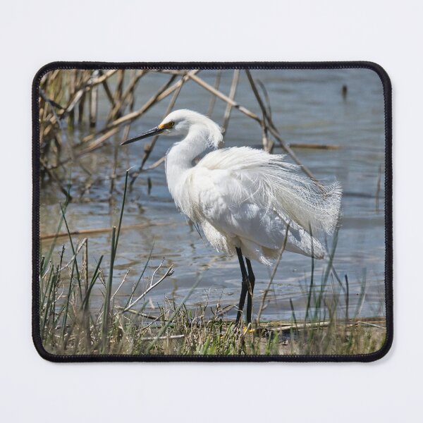 Item preview, Fabulous Snowy Egret designed and sold by LayoverJourney.