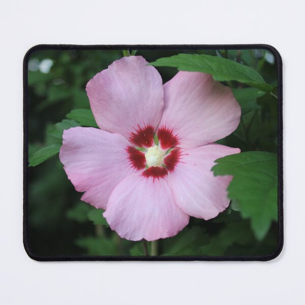 Item preview, Hibiscus flower  designed and sold by McFleur's Lens.
