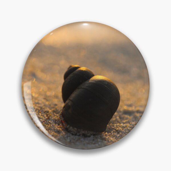Item preview, shell on the sand at sunset designed and sold by TatinkaArtskill.