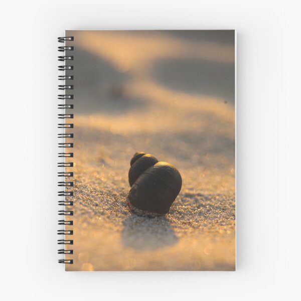 Item preview, shell on the sand at sunset designed and sold by TatinkaArtskill.