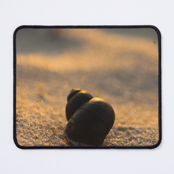 Item preview, shell on the sand at sunset designed and sold by TatinkaArtskill.