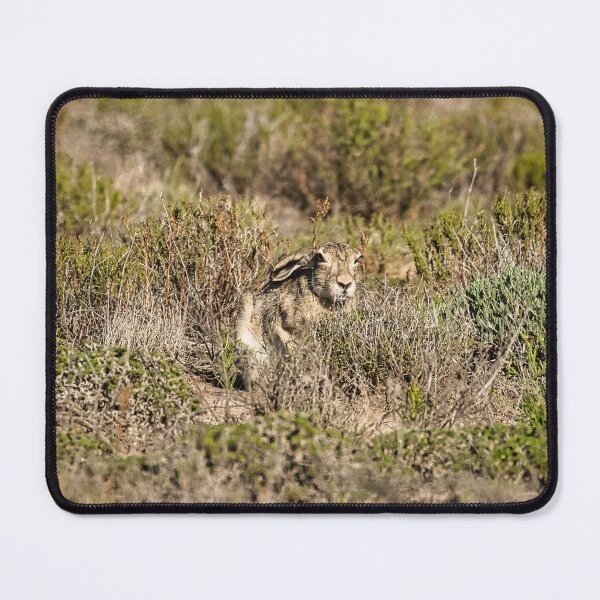 Item preview, Black-tailed Jackrabbit designed and sold by LayoverJourney.