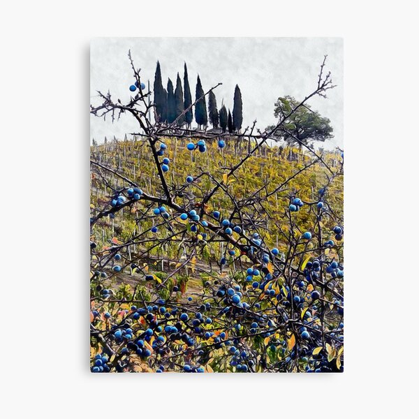 Berries in Autumn Canvas Print
