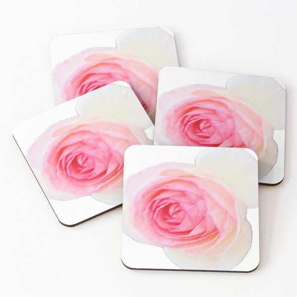 Item preview, Soft Blush Pink Rose Isolated on White designed and sold by BalkanBloom.