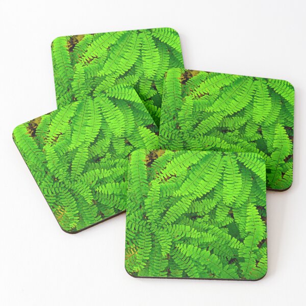 Item preview, Maidenhair Fern designed and sold by bjtomiko.
